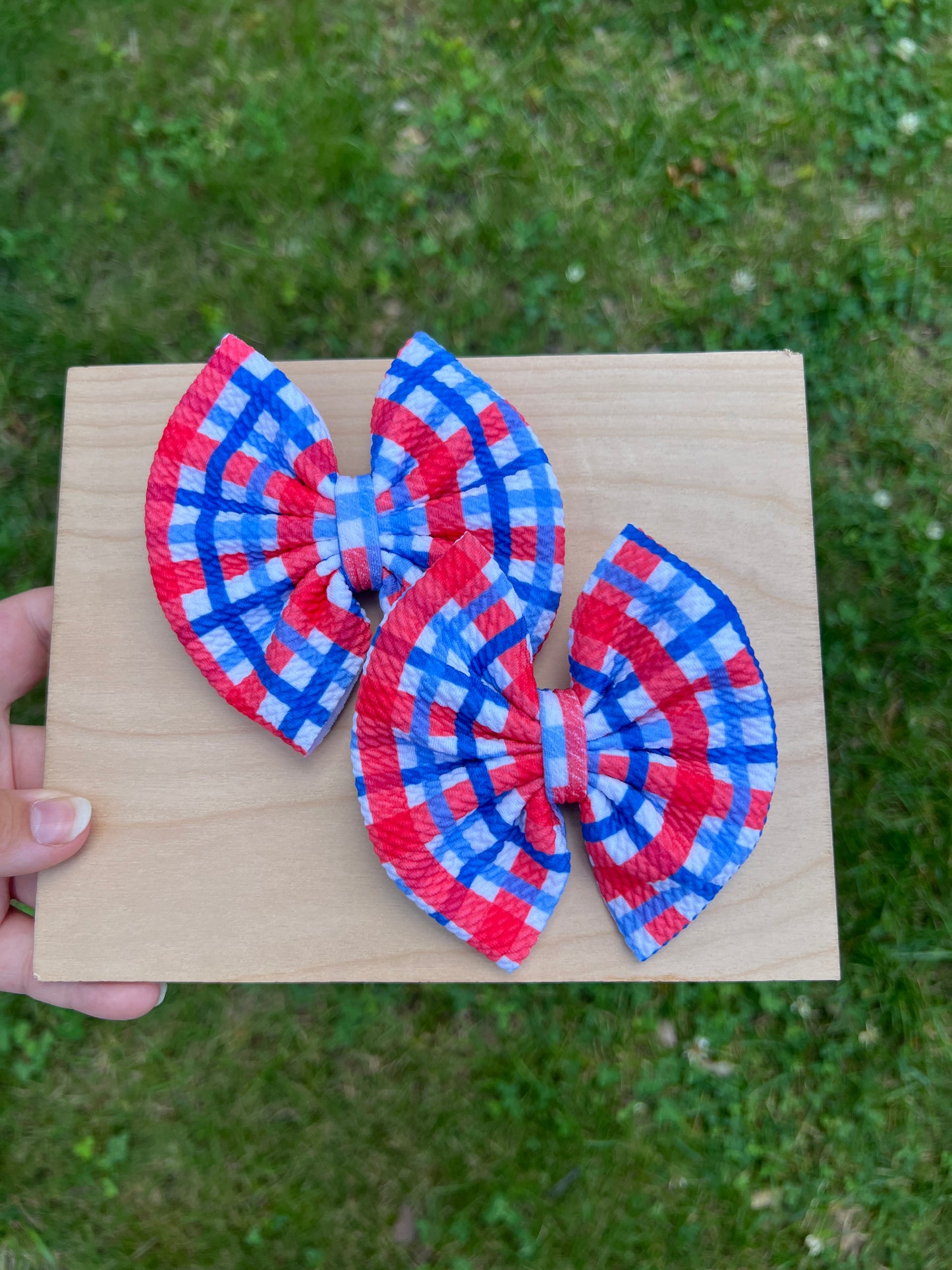 Red/Blue Large Gingham Piggie Set