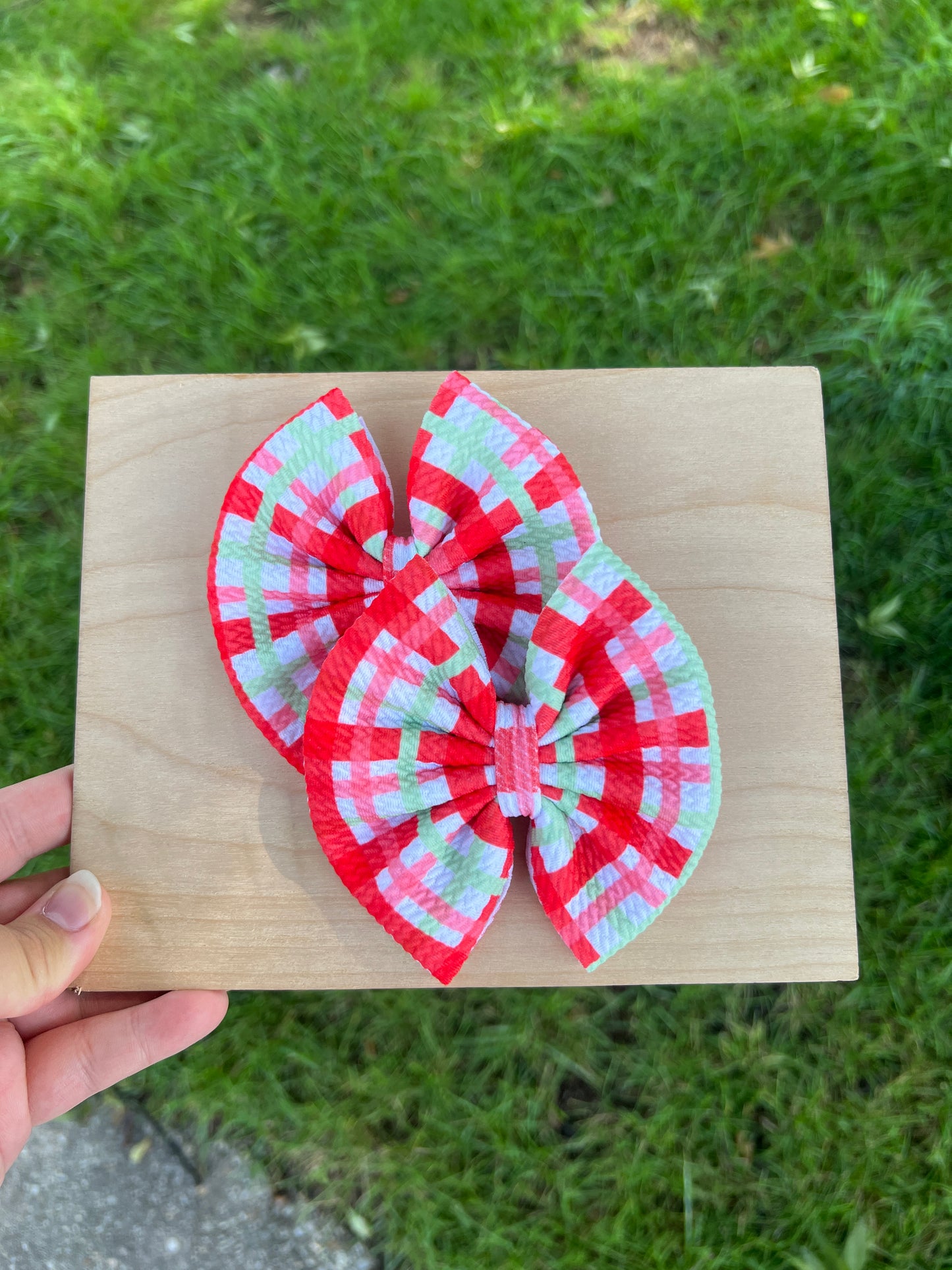 Red/Pink/Green Large Gingham Piggie Set