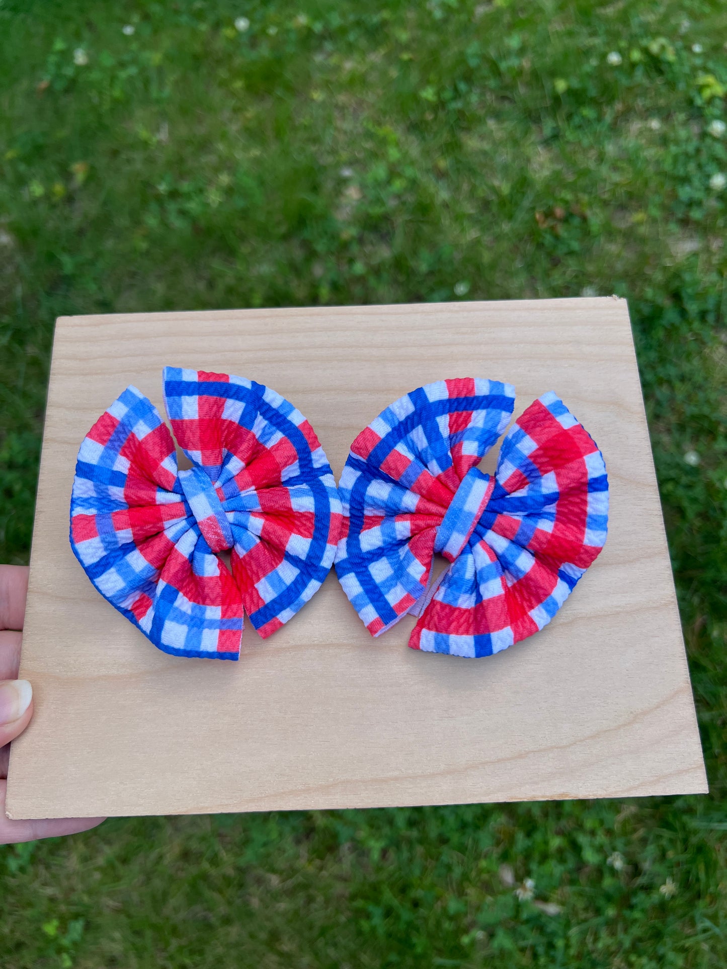 Red/Blue Gingham Pinwheel Piggie Set